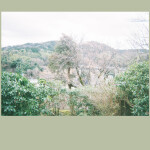 A Fleeting Place / Koji Ishikura