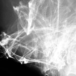 SOLACE / Nobuhiro Okahashi