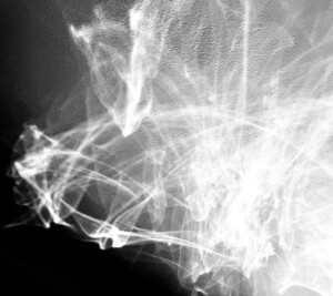 SOLACE / Nobuhiro Okahashi