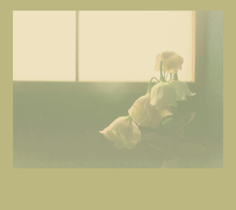 Sink Slowly / Koji Ishikura