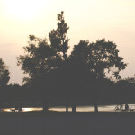 galanthus  / Masafumi Teruyama , yk(Hello1103)