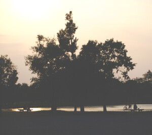 galanthus  / Masafumi Teruyama , yk(Hello1103)