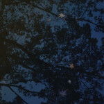 Watermirror / Koji Ishikura