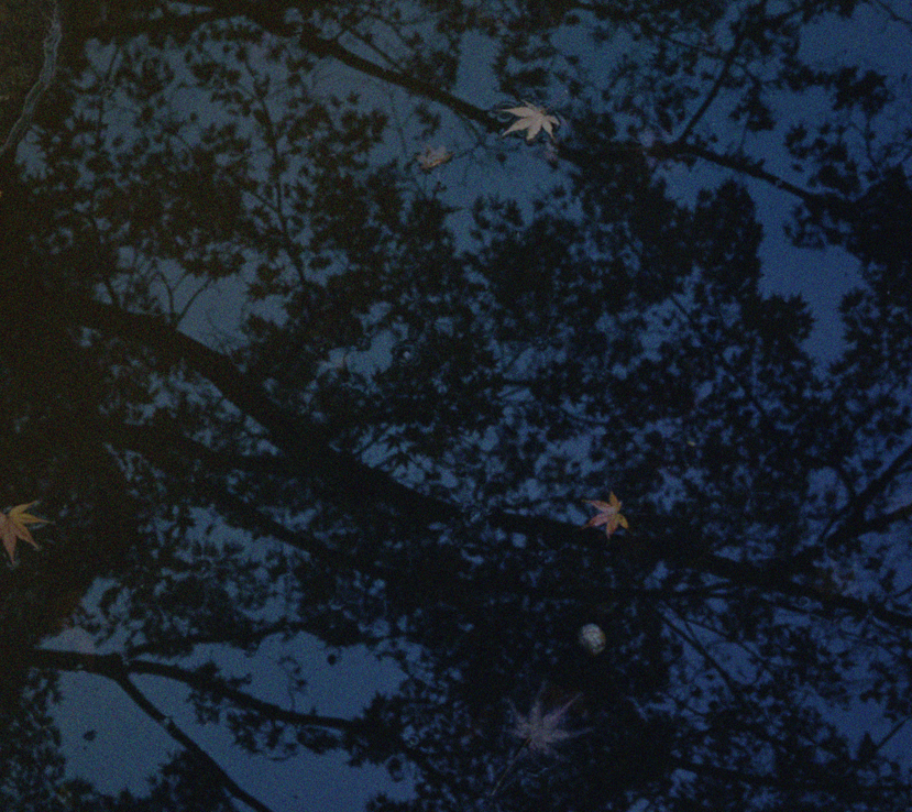 Watermirror / Koji Ishikura