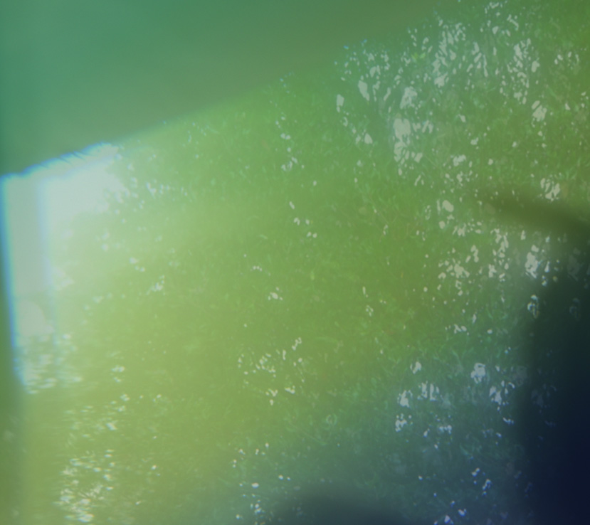 Hazy Colors / Koji Ishikura