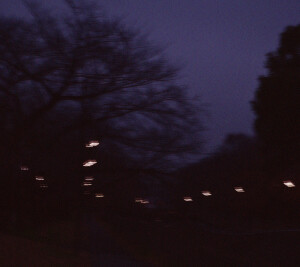 Pale Quiet / Koji Ishikura