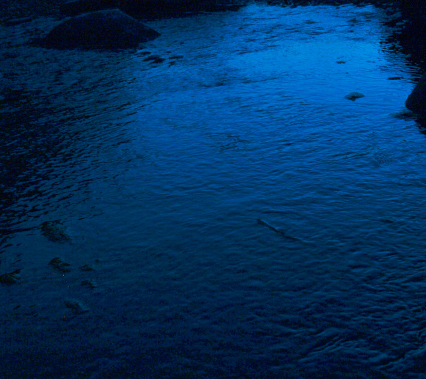 drizzle / Masafumi Teruyama