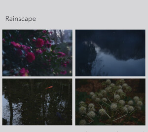 Rainscape / Koji Ishikura